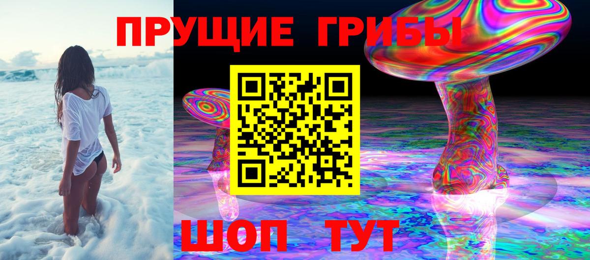 Псилоцибиновые грибы GOLDEN TEACHER  Псилоцибиновые грибы Cubensis  Вход с VPN  Павлово 