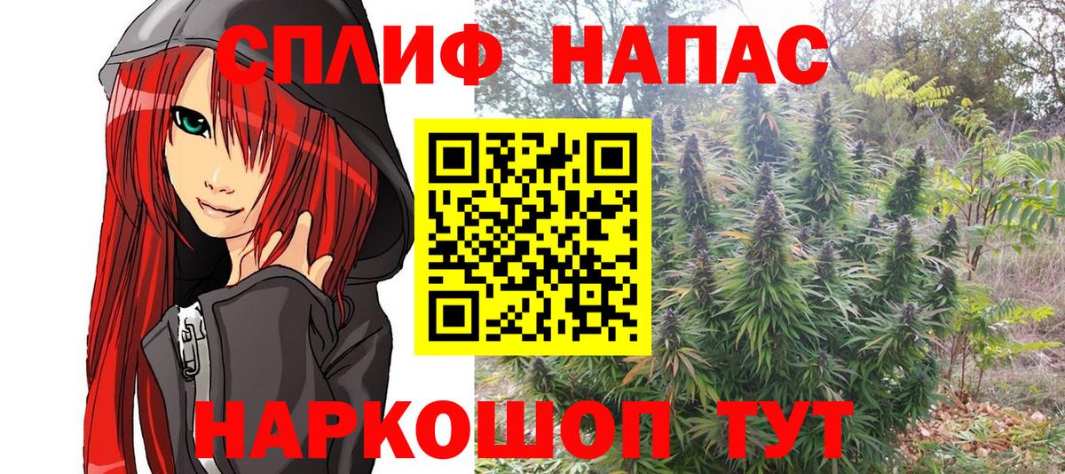 Бошки Шишки ГИДРОПОН Павлово